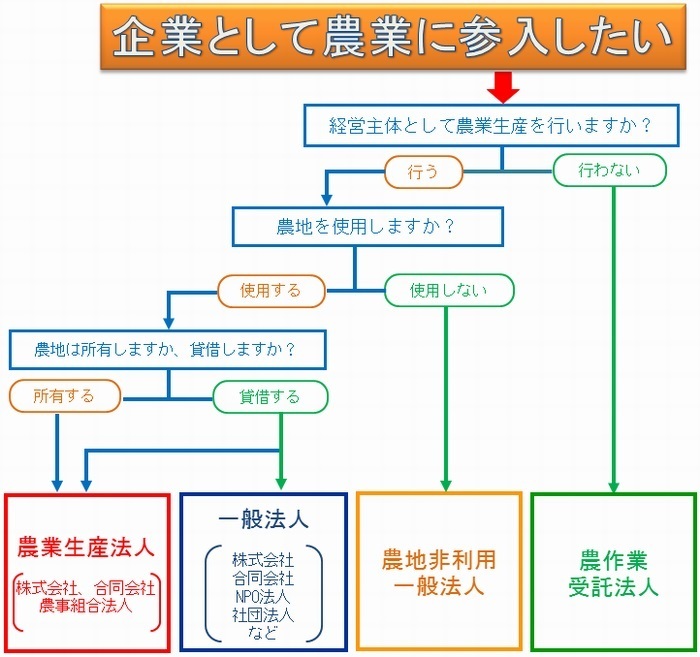 企業の農業参入チャート.bmp